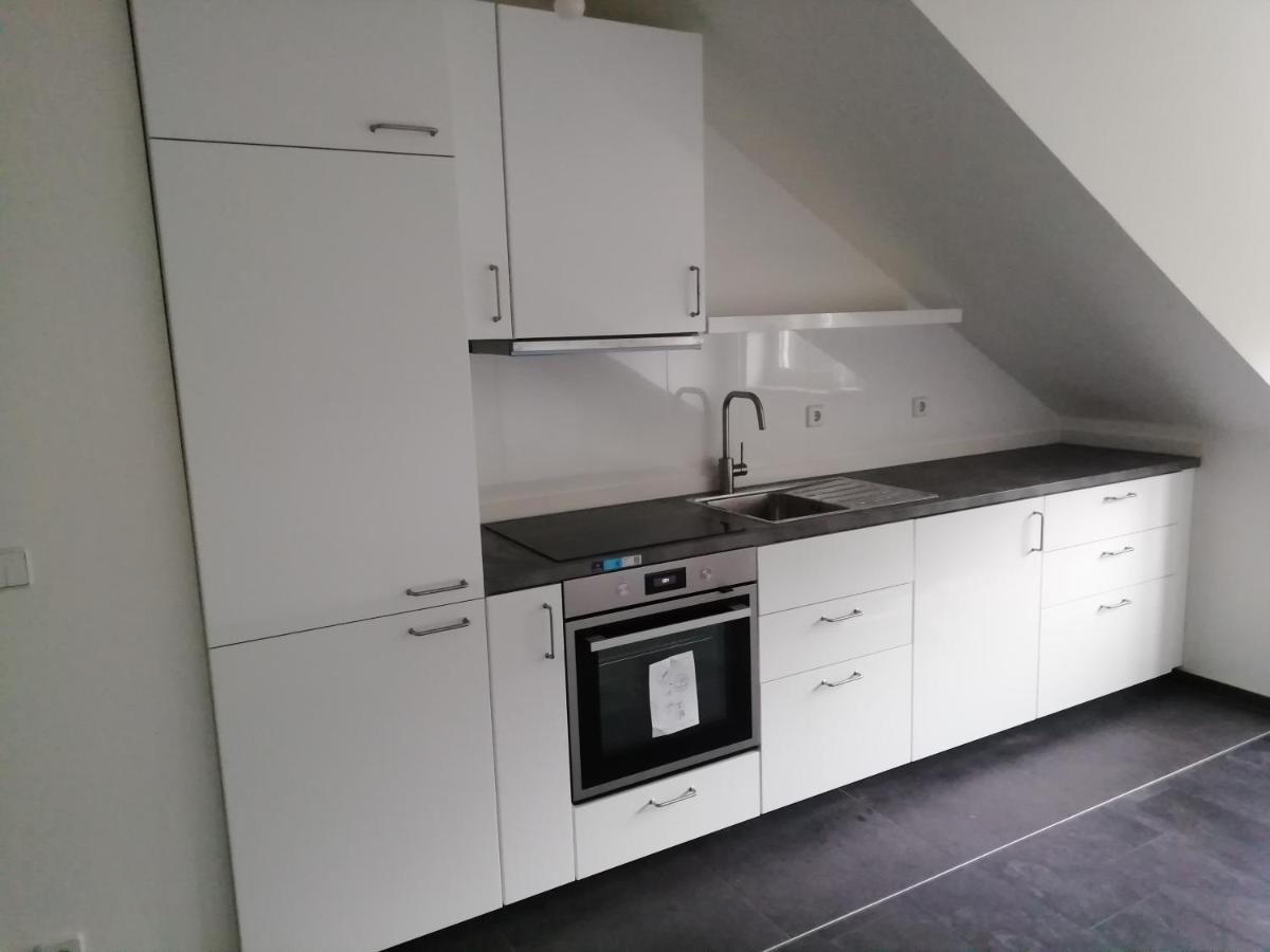 Ferienwohnung Am Stadtpark Κέμνιτς Εξωτερικό φωτογραφία